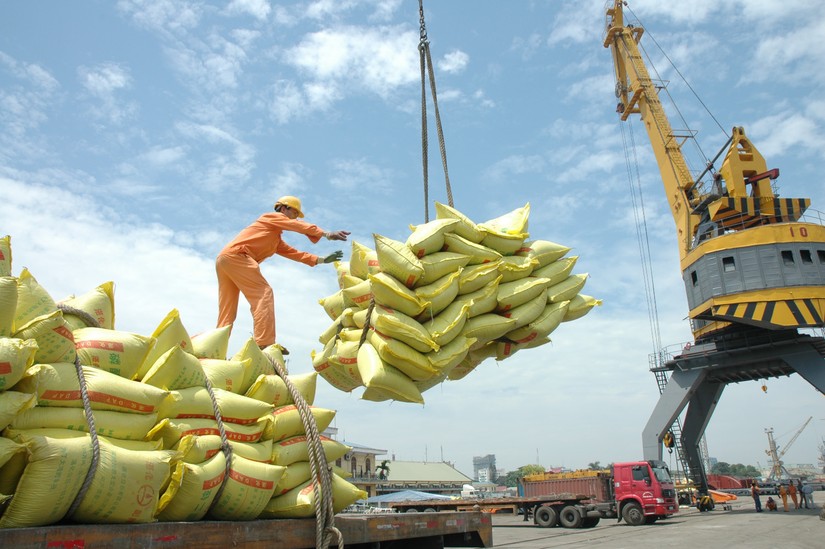 Gạo Việt lấn sâu vào thị trường châu Âu