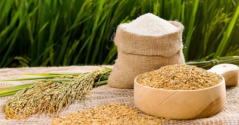 Giá lúa gạo đi ngang, biến động nhẹ ở một số loại nếp - Ảnh: minh họa