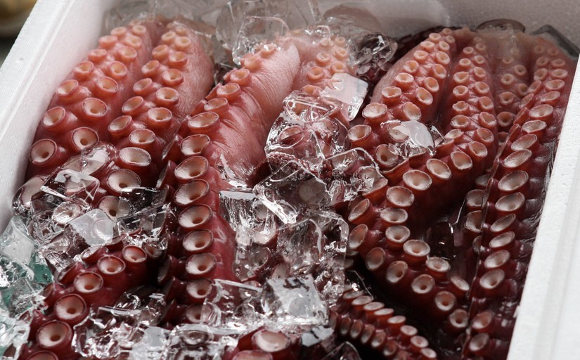 Xuất khẩu bạch tuộc, mực sang Hàn Quốc đạt gần 55 triệu USD