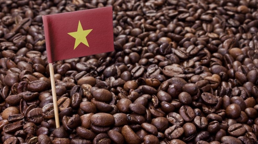 Cà phê Việt vào Trung Quốc: Doanh nghiệp cần thay đổi khi thị trường đã khó tính hơn