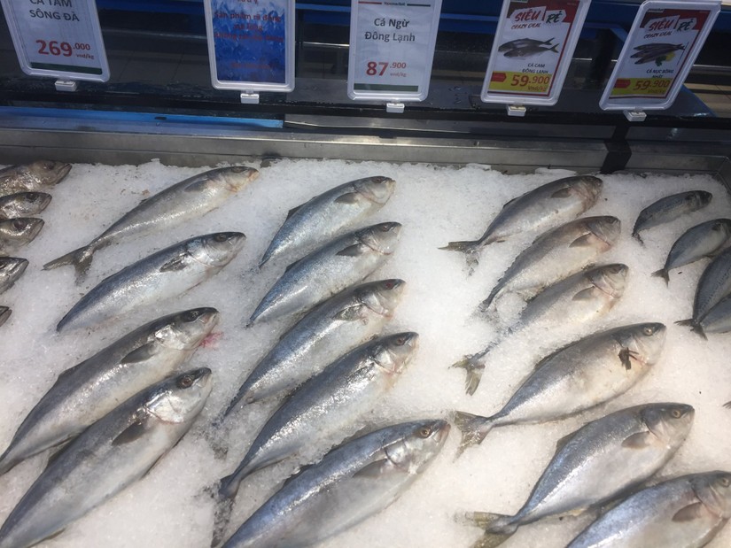 Top 3 thị trường xuất khẩu cá ngừ lớn nhất của Việt Nam