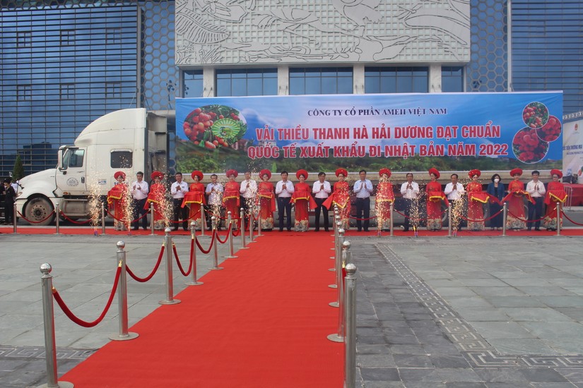 Lễ cắt băng xuất khẩu vải thiều Thanh Hà đi các thii trường diễn ra vào sáng 29/5.