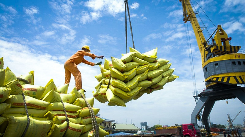 Gạo Việt Nam xuất sang ASEAN tăng 46% trong tháng đầu năm 2024