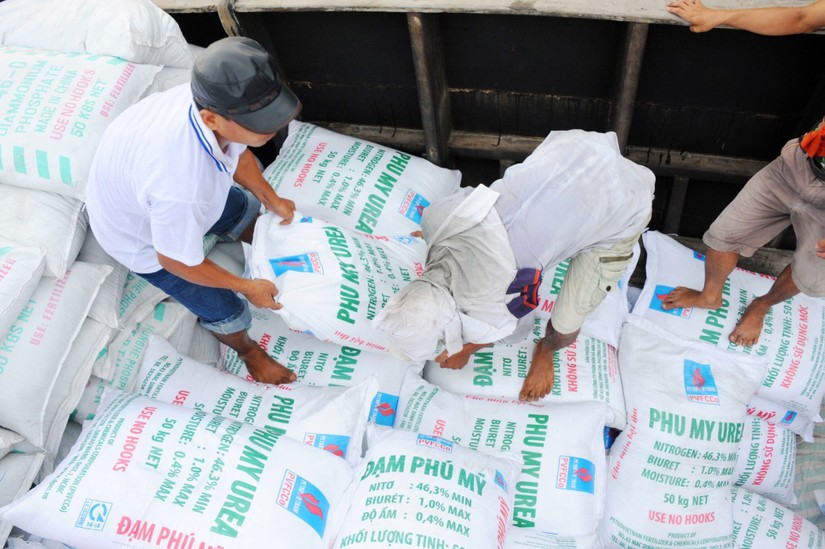 Campuchia nhập 36% lượng phân bón xuất khẩu của Việt Nam