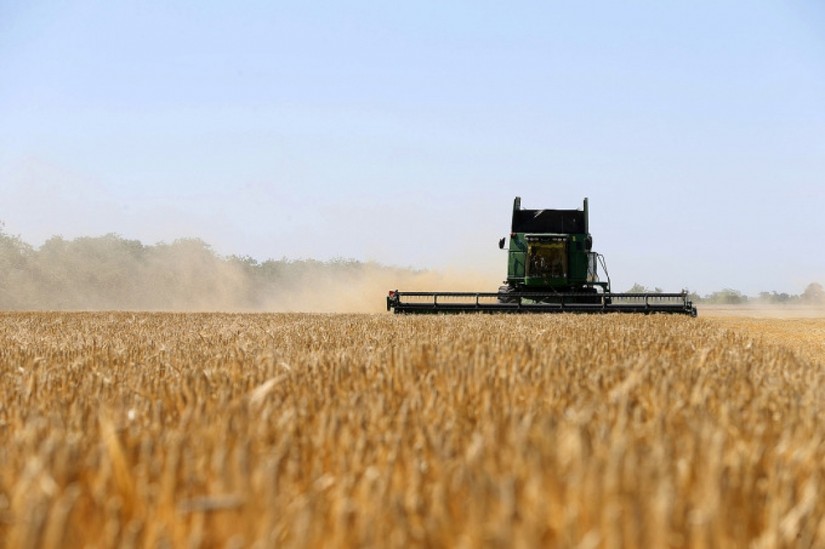 Nông dân thu hoạch ngũ cốc ở Odessa, Ukraine. Ảnh: Reuters 