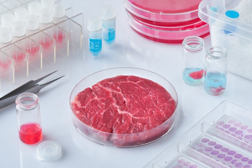 Thịt nuôi cấy trong phòng thí nghiệm đem lại nhiều lợi ích cho môi trường. Ảnh: Adobe Stock