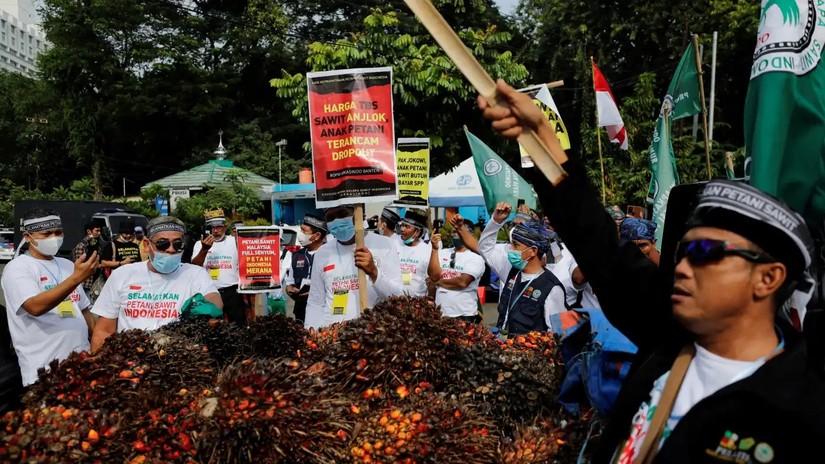 Nông dân Indonesia biểu tình phản đối lệnh cấm xuất khẩu dầu cọ. Ảnh: Reuters