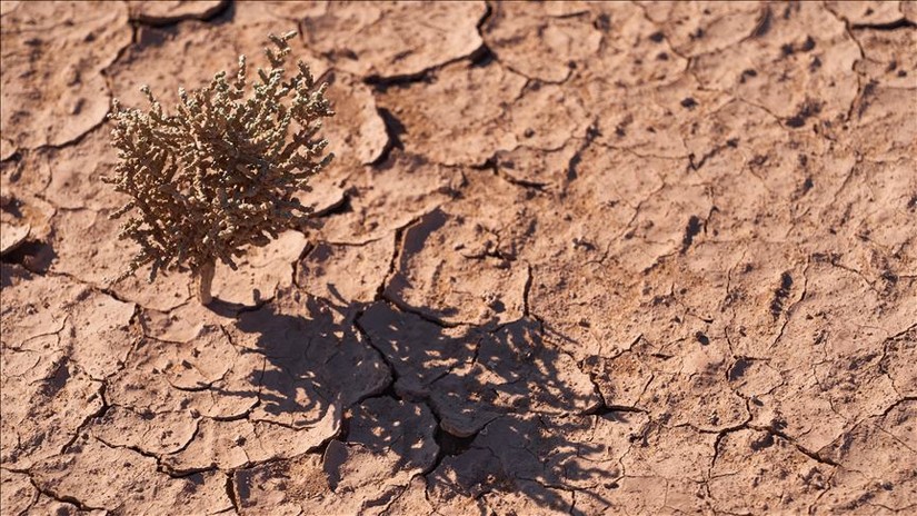 UN dự báo thế giới sẽ gặp khủng hoảng thiếu đất trong 60 năm nữa. 