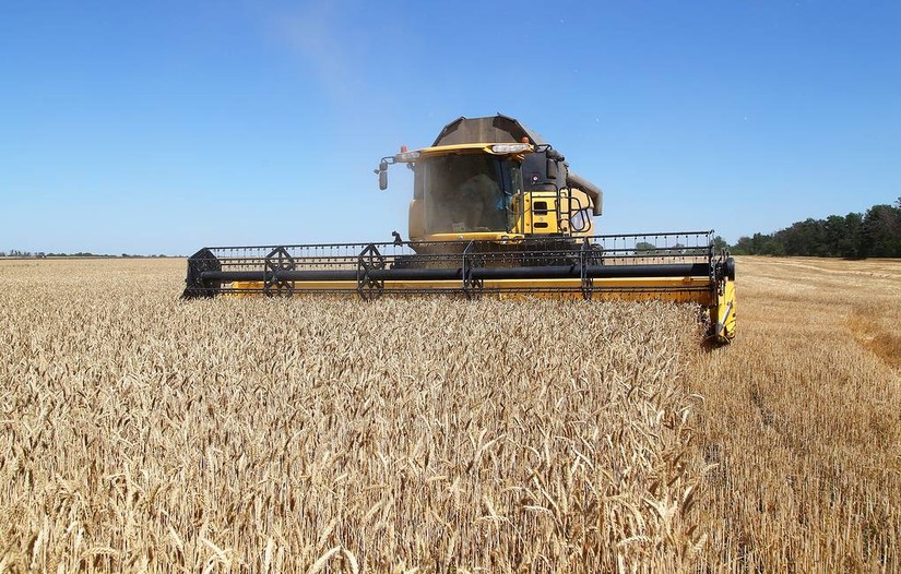 Tổng thống Vladimir Putin cho biết Nga sẵn sàng tạo các điều kiện hậu cần thuận lợi để thúc đẩy xuất khẩu ngũ cốc của Ukraine. Ảnh: TASS