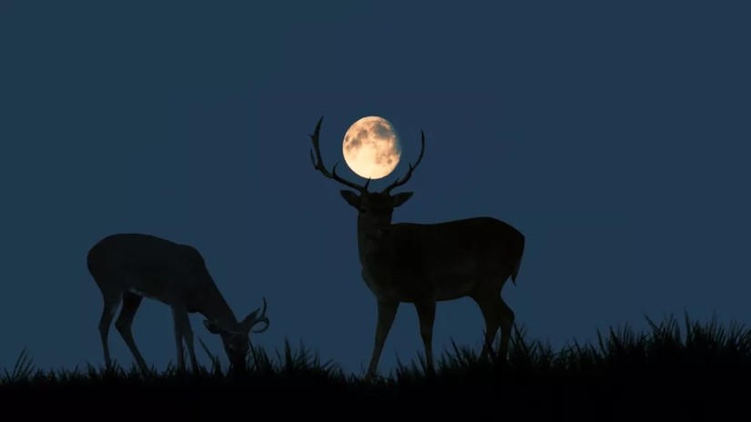 Siêu trăng vào tháng 7 còn được gọi là Buck Moon hay Thunder Moon (trăng sấm). Ảnh: Getty Images