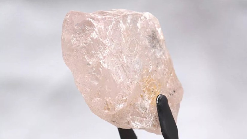 Viên Lulo Rose 170 carat được phát hiện tại mỏ khai thác Lulo của Angola. Ảnh: Lucapa Diamond Corp