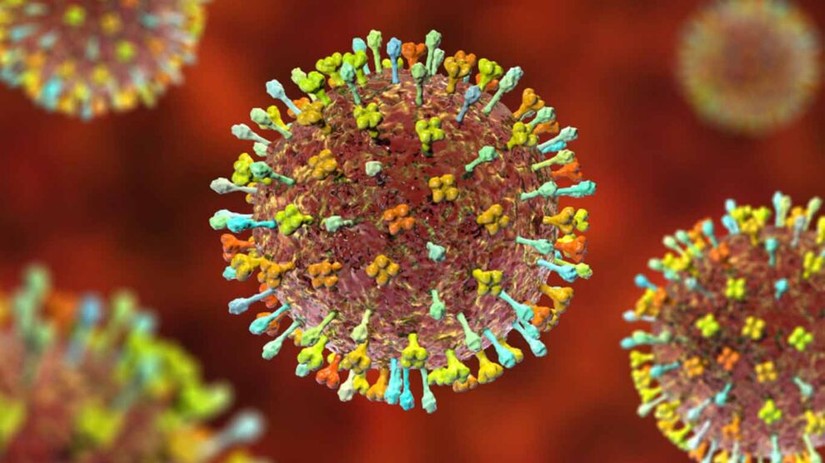 Henipavirus hay còn có tên là Langya henipavirus, LayV có thể lây nhiễm sang người và có nguồn gốc từ động vật. 