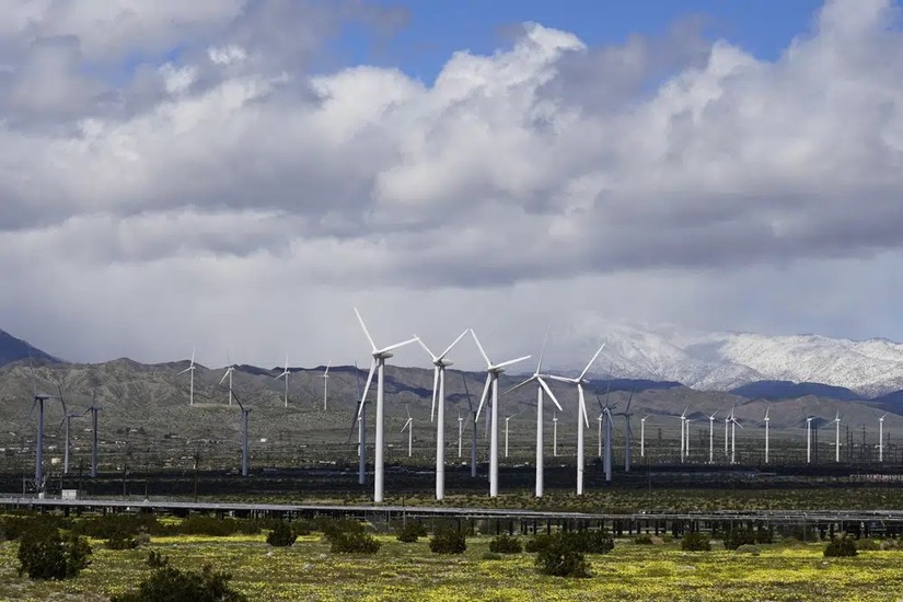 Turbine trên các cánh đồng gần Palm Springs, California. Ảnh: AP