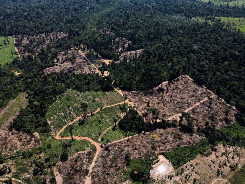 Khu vực rừng bị phá ở giữa Rừng Amazon gần đường cao tốc BR-230, được gọi là Transamazonica, ở Uruara, Para, Brazil. Ảnh: Reuters