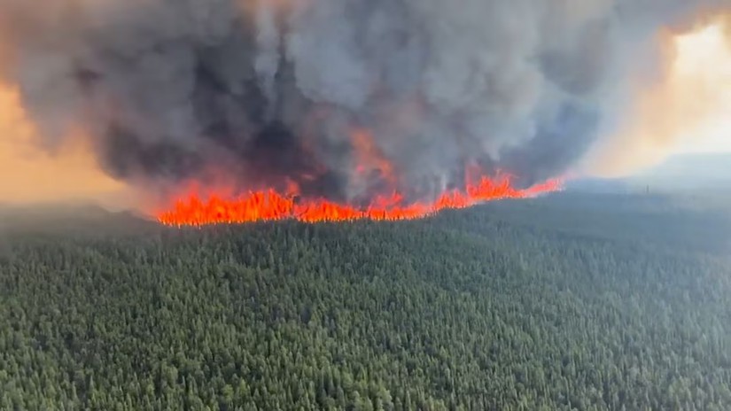 Đám cháy rừng tại Tumbler Ridge, British Columbia, Canada. Ảnh: Reuters