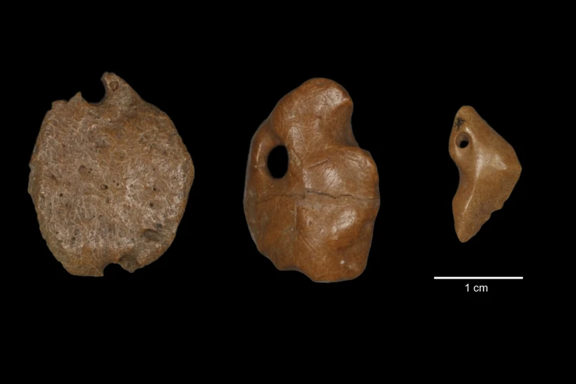 Các cổ vật làm từ xương con lười được khai quật tại Brazil. Ảnh: Thais Rabito Pansani/AP