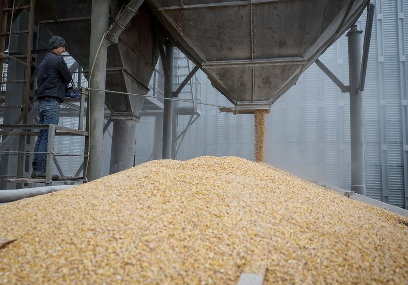 Tổng thống Ba Lan khẳng định nước này sẽ không mở cửa cho ngũ cốc Ukraine kể cả khi thỏa thuận ngũ cốc Biển Đen kết thúc. Ảnh: Reuters