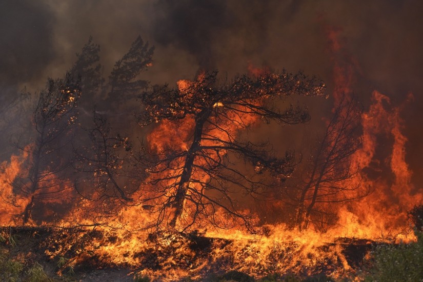 Cháy rừng gần làng Vati, trên đảo Rhodes, Đông Nam Hy Lạp ngày 25/7/2023. Ảnh: AP