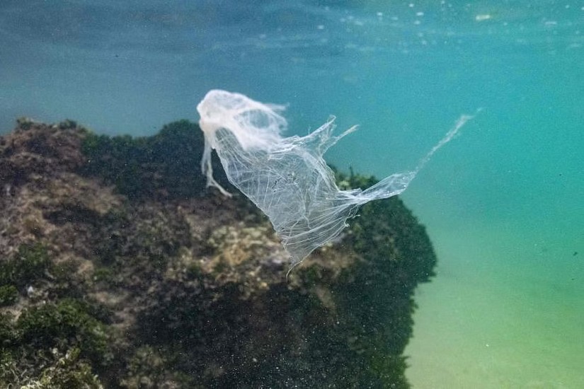 Rác thải nhựa trong đại dương. Ảnh: AFP