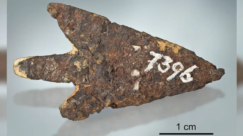 Hình ảnh đầu mũi tên khai quật được tại Thụy Sĩ. Ảnh: Journal of Archaeological Science