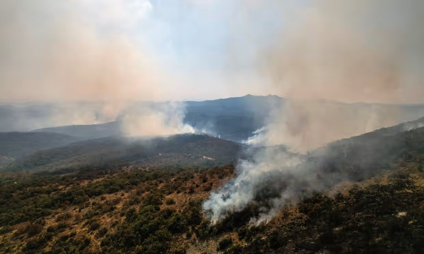 Cháy rừng tại Công viên Quốc gia Dalia tại Hy Lạp. Ảnh: Reuters