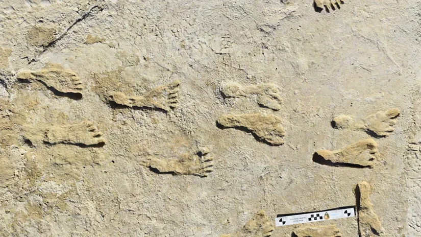 Dấu chân người cổ đại được phát hiện tại Công viên quốc gia White Sands ở New Mexico, Mỹ. Ảnh: National Park Service