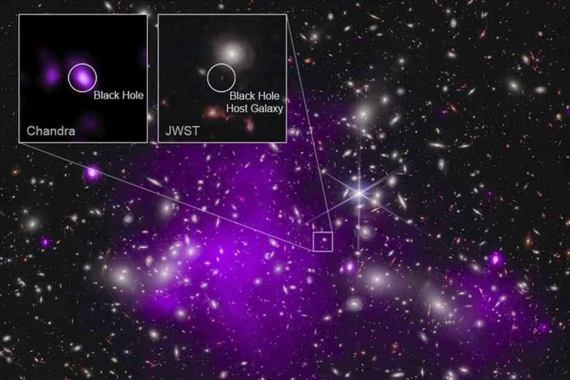 Hình ảnh hố đen hình thành 470 triệu năm sau Big Bang được thu lại bởi các kính viễn vọng không gian James Webb của NASA và Chandra X-Ray Observatory. Ảnh: NASA