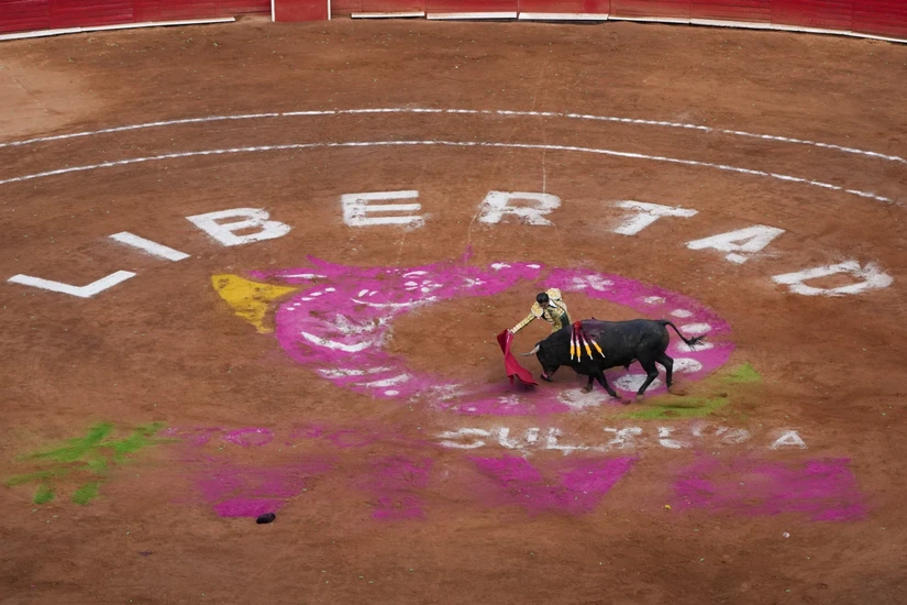 Một trận đấu bò tại Plaza México, Mexico City ngày 29/1/2024. Ảnh: AP