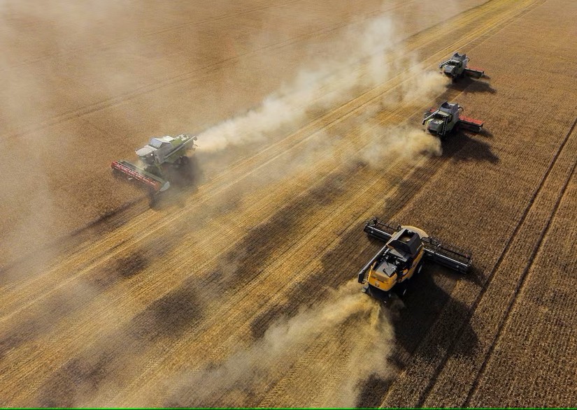 Thu hoạch lúa mì trên cánh đồng của một doanh nghiệp địa phương ở quận Cherlaksky, vùng Omsk, Nga. Ảnh: Reuters