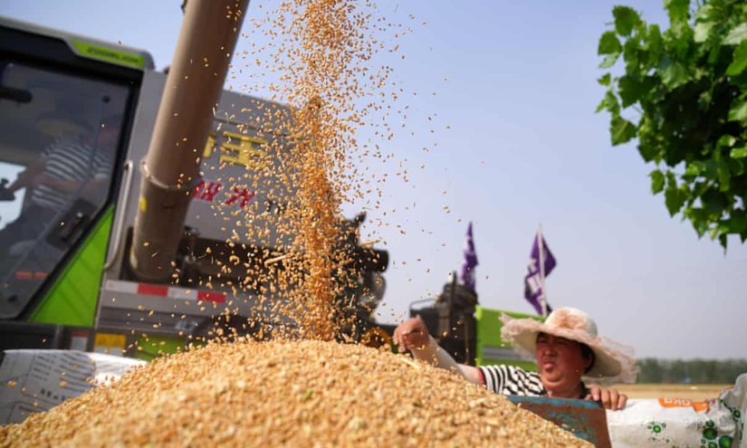 ADB hỗ trợ 14 tỷ USD giảm nhẹ cuộc khủng hoảng lương thực ở châu Á