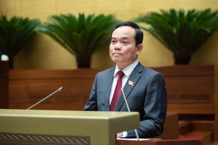 Phó Thủ tướng Chính phủ Trần Lưu Quang - Ảnh: quochoi.vn