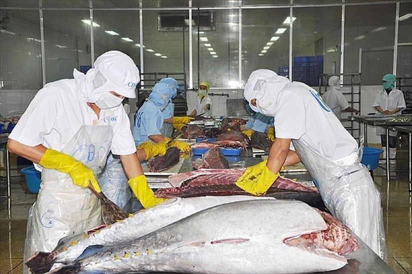 Việt Nam là nguồn cung cá ngừ lớn nhất cho Israel