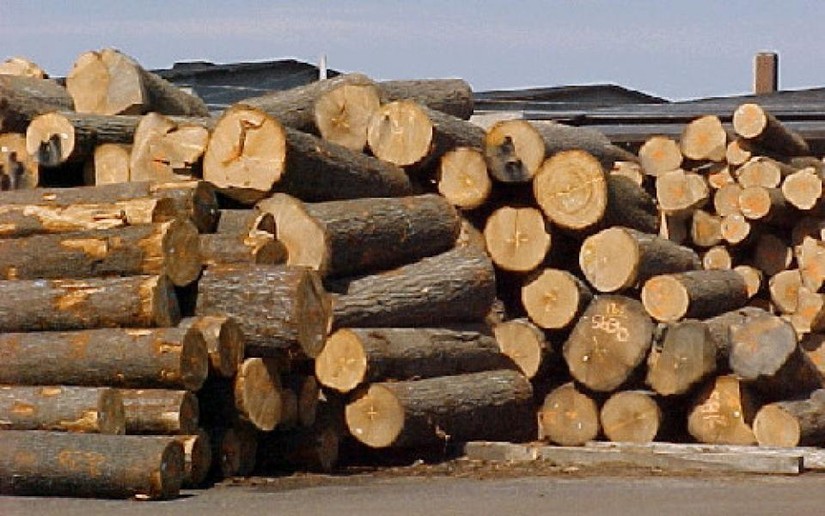 Xuất khẩu gỗ và các sản phẩm gỗ trong tháng 10 sang Hoa Kỳ, Nhật Bản, Trung Quốc lần lượt tăng 47,79%, 22,76% và 5% so với tháng 09/2021.