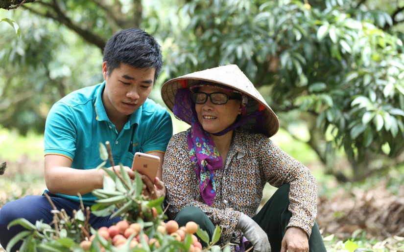 42% nông dân Việt Nam muốn áp dụng số hóa trong nông nghiệp