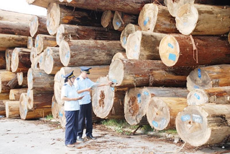 Mỗi năm Việt Nam nhập khẩu khoảng 6 triệu m3 gỗ quy tròn. Ảnh: Internet