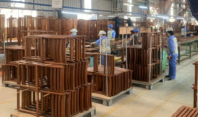 Cạnh tranh gỗ nguyên liệu gay gắt sau khi Nga dừng xuất khẩu gỗ. Ảnh: Công ty CP Woodsland.