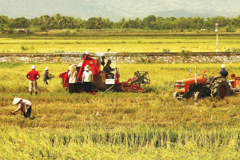World Bank đề nghị Bộ NN&PTNT đưa ra những ý kiến, đề xuất để tổ chức này có thể hỗ trợ tốt hơn cho nông nghiệp Việt Nam 