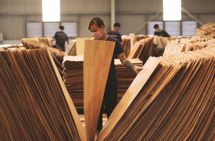 Xu hướng xuất khẩu gỗ và sản phẩm gỗ đang tập trung vào mặt hàng có giá trị gia tăng cao. Ảnh: VIFOREST.