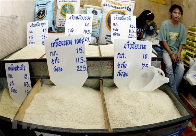 Giá gạo thấp gây sức ép nặng nề cho người nông dân. Ảnh: TTXVN