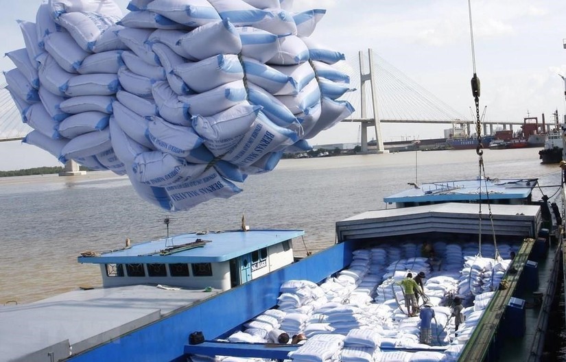 Vận tải đường thủy được Tân cảng Sài Gòn cho rằng tiết kiệm chi phí nhất trong vận chuyển gạo. 