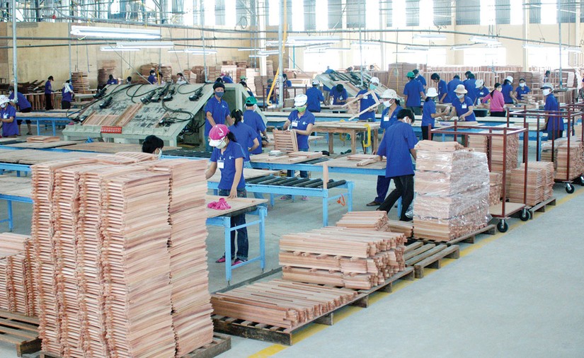 Thực hành lâm sản bền vững để mở rộng thị trường xuất khẩu gỗ. 