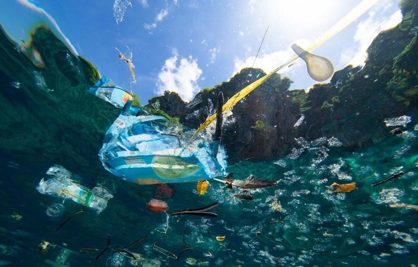 Nếu không sớm ngăn chặn, sẽ có nhiều nhựa hơn cá trong các đại dương 