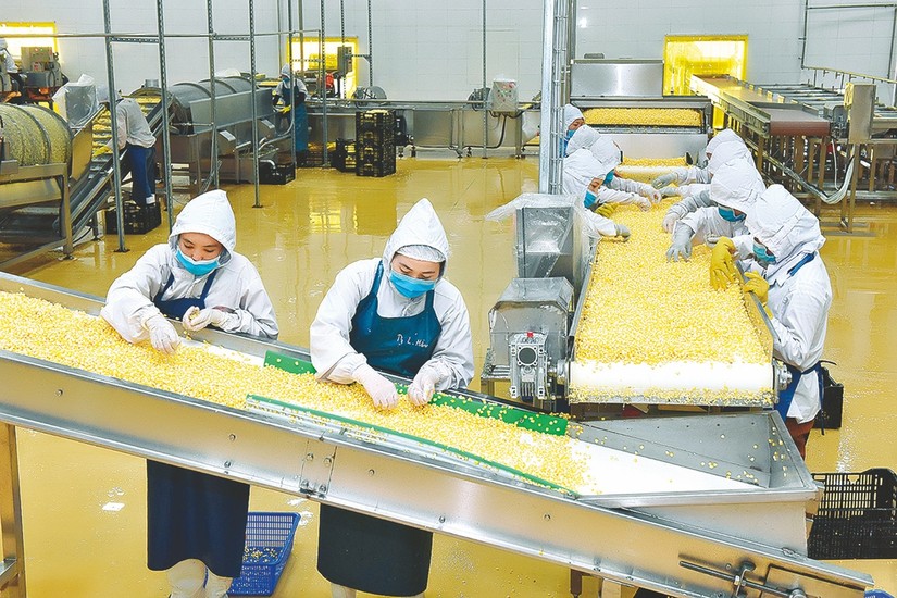 Phấn đấu đưa Việt Nam trở thành trung tâm chế biến nông sản hàng đầu thế giới vào năm 2030.