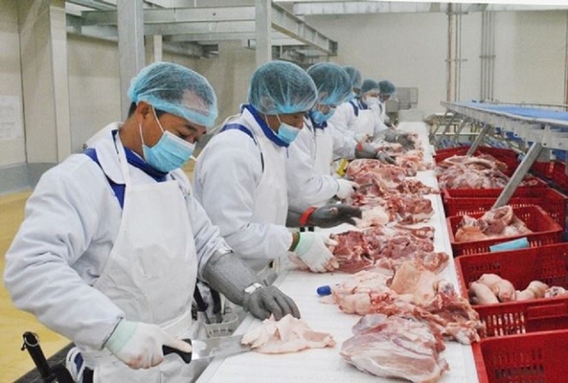Năm 2022, Bộ Công Thương dự kiến nhu cầu lợn thịt sẽ đạt mức khoảng 51 triệu con.