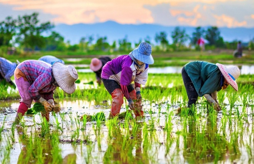 Tiểu vùng sông Mekong là vùng trọng điểm nông nghiệp của cả thế giới.