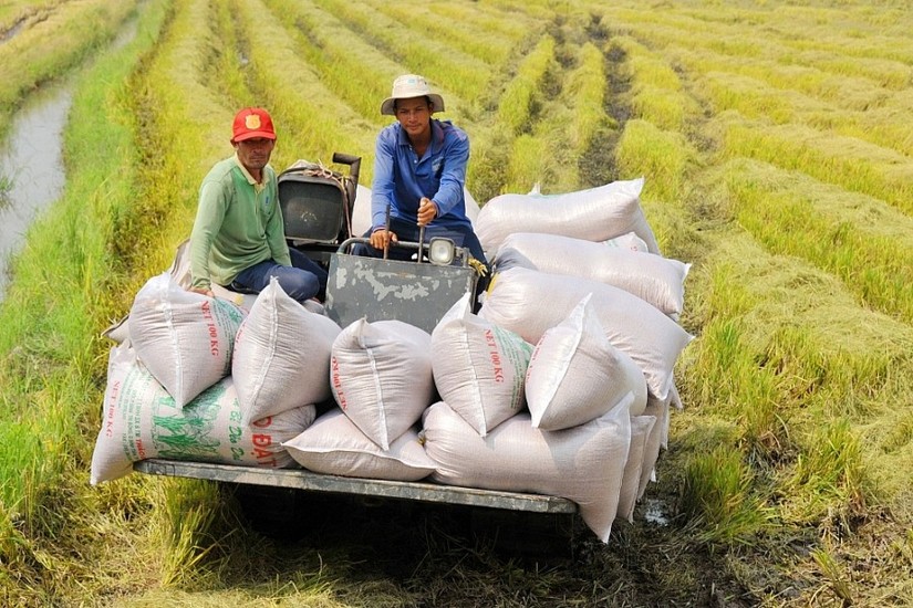 Gạo Việt Nam sẽ còn tăng giá xuất khẩu trong 2023.