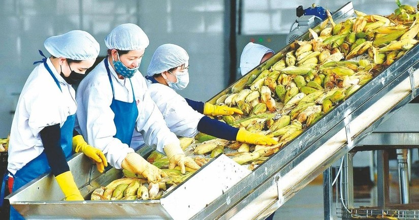 Nông sản Việt Nam lập kỷ lục xuất khẩu mới.