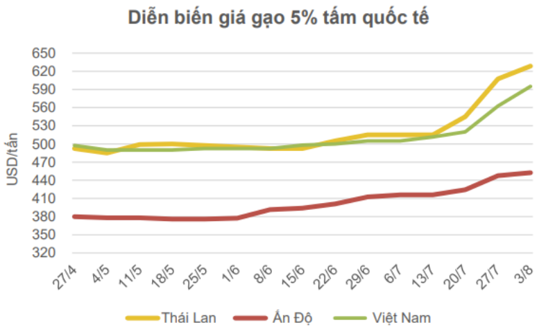 Giá gạo 5% tấm của Việt Nam ước tính đạt 595 USD/tấn, tăng 33 USD/tấn so với tuần trước. Nguồn: Trung tâm Agroinfo.