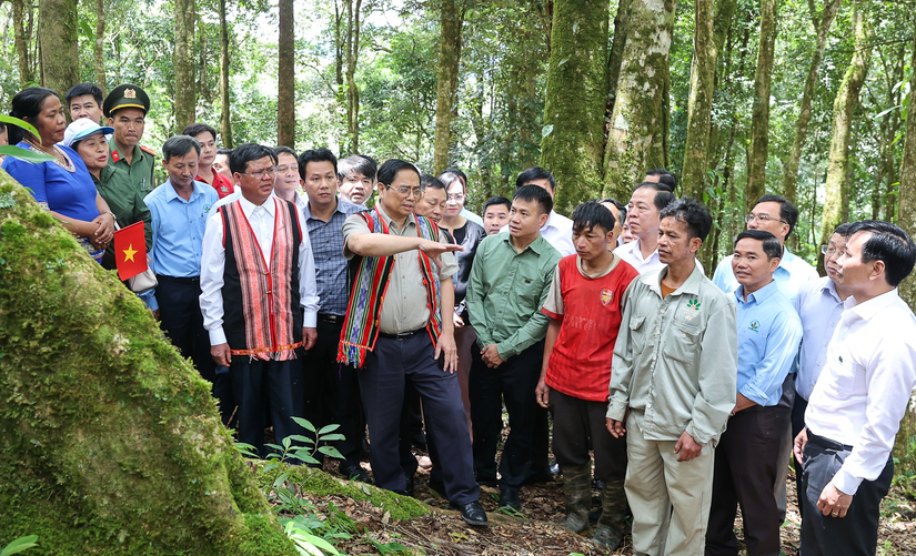 Thủ tướng khảo sát tại vườn sâm Ngọc Linh, xã Ngọk Lây, huyện Tu Mơ Rông. Ảnh: VGP.
